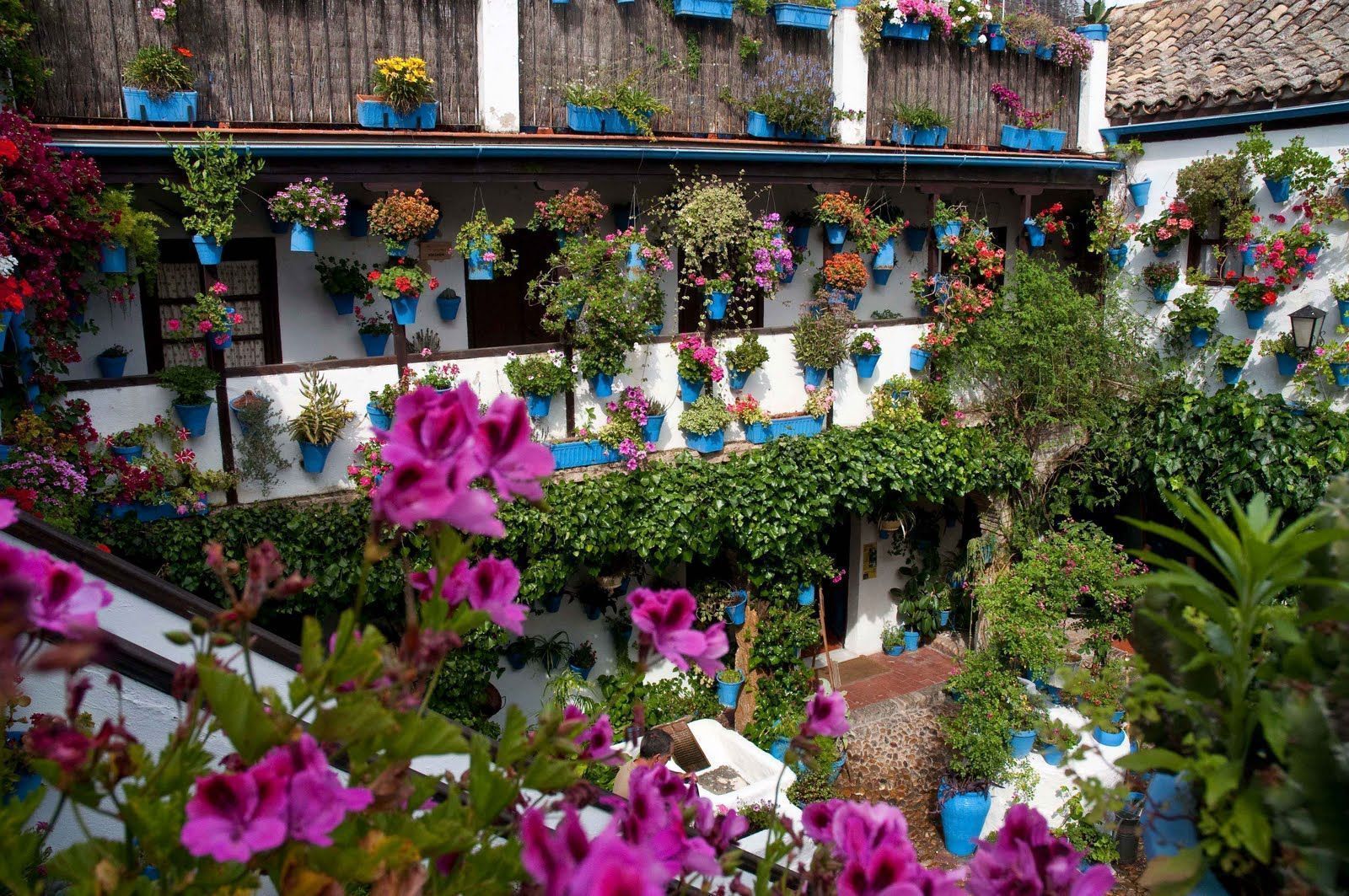Patios cordobeses - Imagen 2