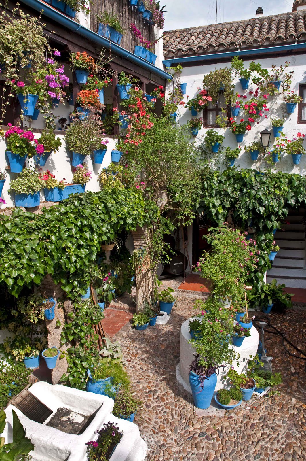 Patios cordobeses - Imagen 4