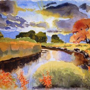 Pradera con arroyo