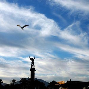 Puerto de Banús. Marbella