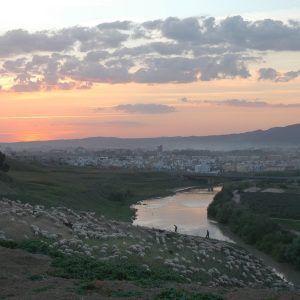 Puesta de sol desde el Cortijo Salinas. Córdoba